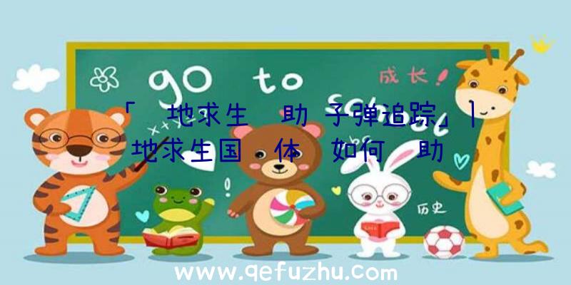 「绝地求生辅助